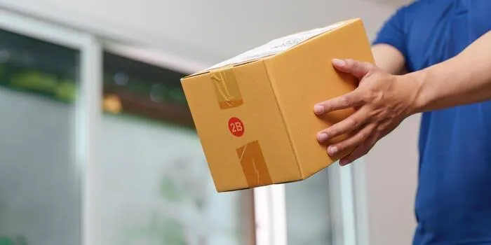Delivery services